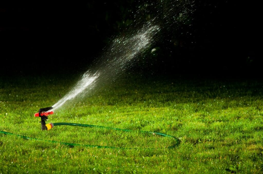Watering Grass At Night Myth Debunked - 2025 Guide