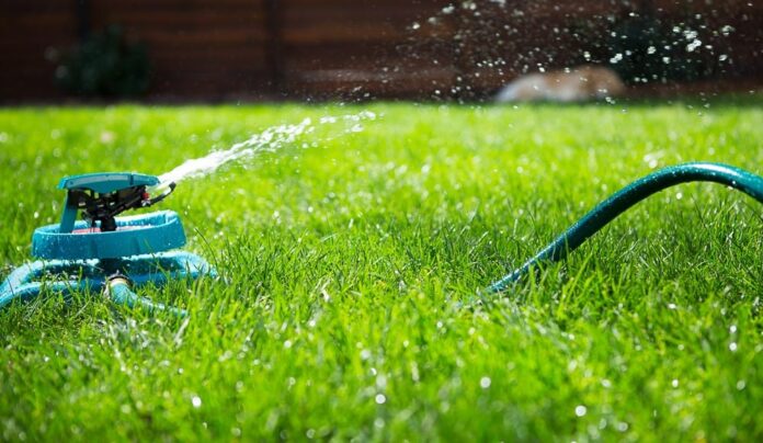 best time to water sod