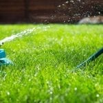 how often should i water my lawn with sprinkler system