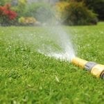 how often should i water my lawn with sprinkler system image