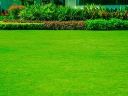 how to level a large yard