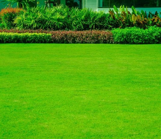 how to level a large yard