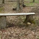 how to turn a tree stump into an outdoor table image