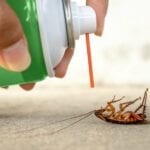 Pest Control Sprays For Roaches