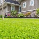 how to grow grass in sandy soil and shade