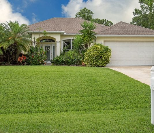 how to grow grass in sandy soil and shade