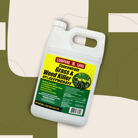 Compare-N-Save Concentrate Grass and Weed Killer