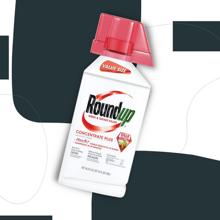 Roundup Weed & Grass Killer Concentrate Plus