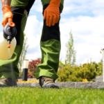 best weed killer
