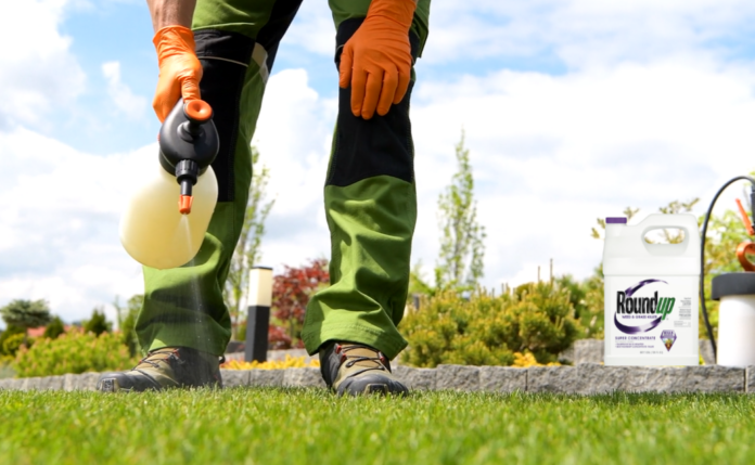 best weed killer