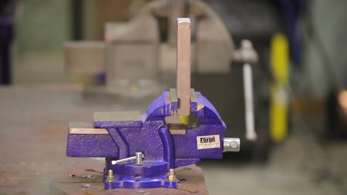 purple vise pic