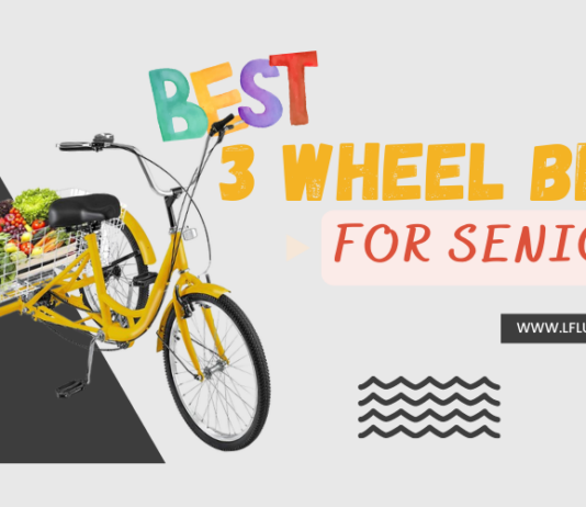 Best 3 Wheel Bike For Seniors