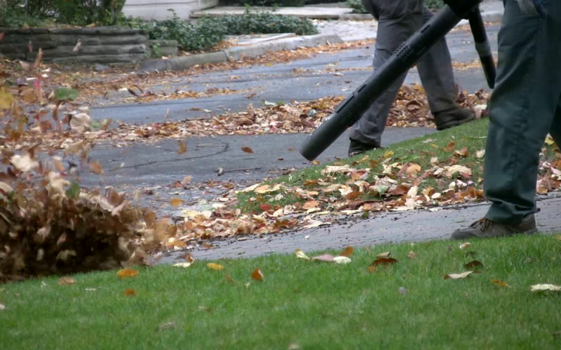 Best Cordless Leaf Blower For Drying Car