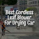 Best Cordless Leaf Blower For Drying Car