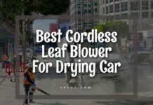 Best Cordless Leaf Blower For Drying Car