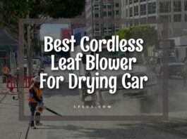 Best Cordless Leaf Blower For Drying Car