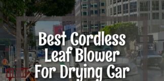 Best Cordless Leaf Blower For Drying Car