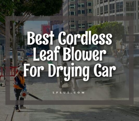 Best Cordless Leaf Blower For Drying Car