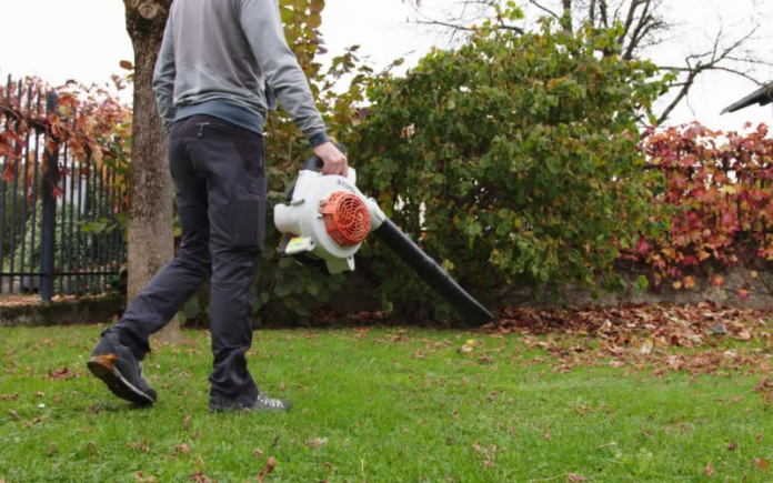  Best Cordless Leaf Blower For Drying Car