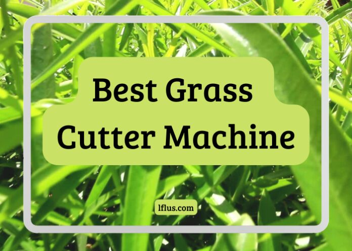 Best Grass Cutter Machine for perfect lawns