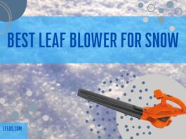 Best Leaf Blower For Snow Yard and Car Maintenance Tips