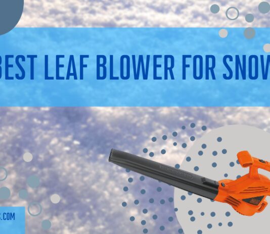 Best Leaf Blower For Snow Yard and Car Maintenance Tips