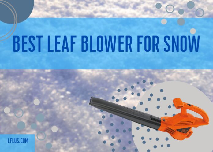 Best Leaf Blower For Snow Yard and Car Maintenance Tips