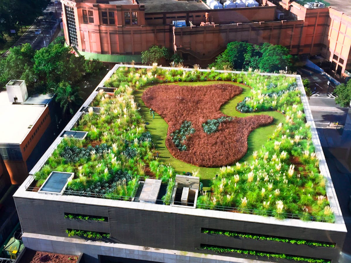 Photo inspiration: Visual Reference: Green Roofing Options In Boston Sustainable Solutions For Urban Living