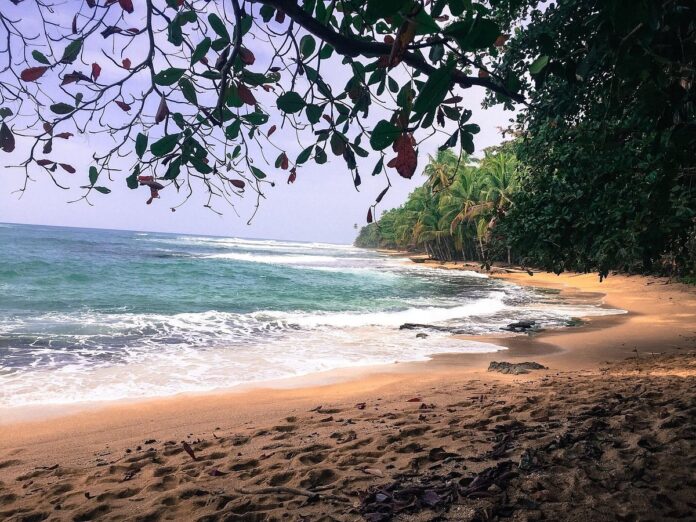 Playa Manzanillo