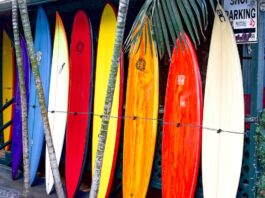 surfing boards