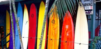 surfing boards