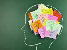 Retain to Excel: How Flashcards and Spaced Repetition Fuel Memory Enhancement