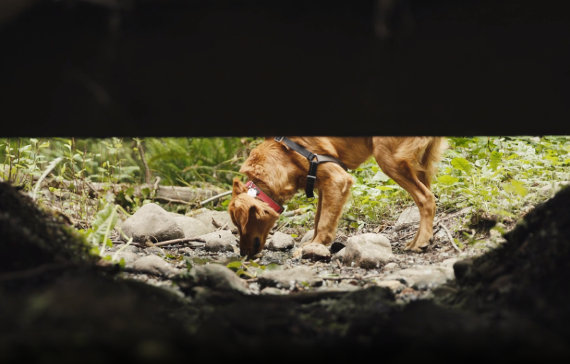 best commercial leaf vacuum