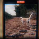 no stabilized footage