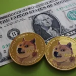 transfer Dogecoin cryptocurrency to Perfect Money USD