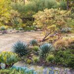 xeriscaping creates sustainable landscape