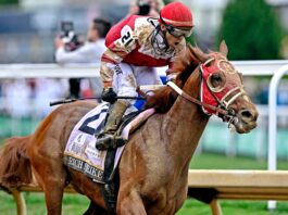 Wagering Strategies for Horse Racing