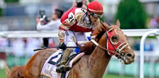Wagering Strategies for Horse Racing
