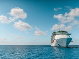 Cruise Ship During Daytime
