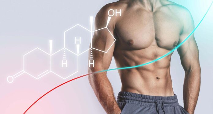 Why Testosterone Is So Important