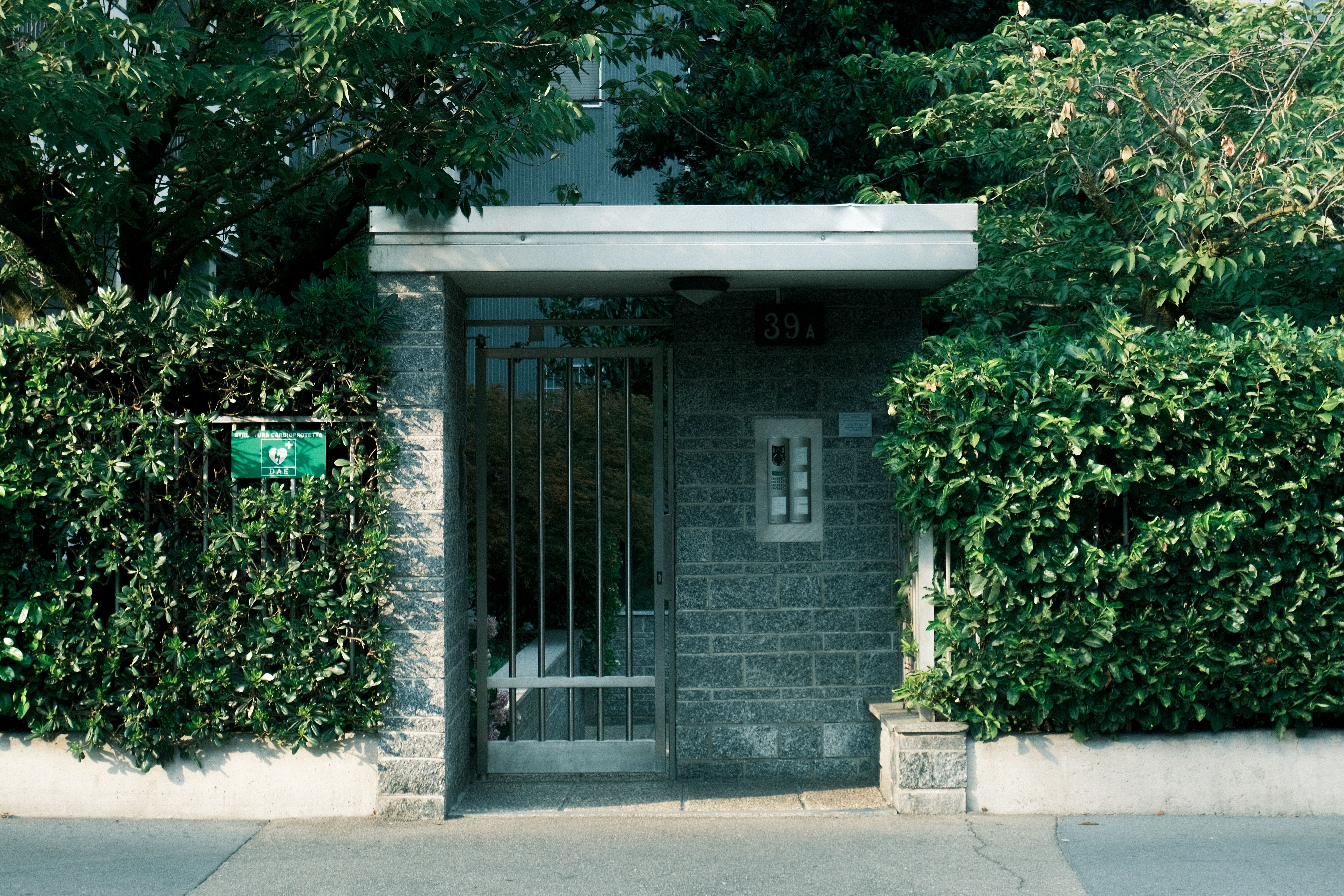 Residential entrance gate surrounded by dense green foliage and trees